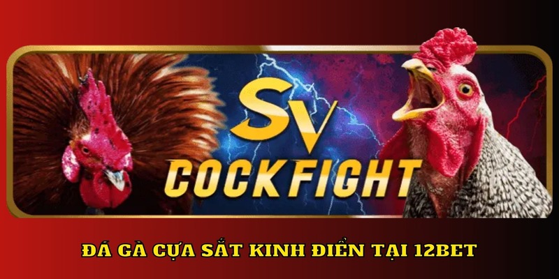 Trải nghiệm chọi kê cựa sắt tại đá gà 12BET