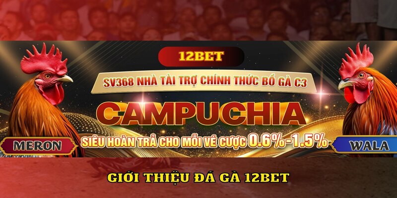 Vài nét chính về sảnh đá gà 12BET